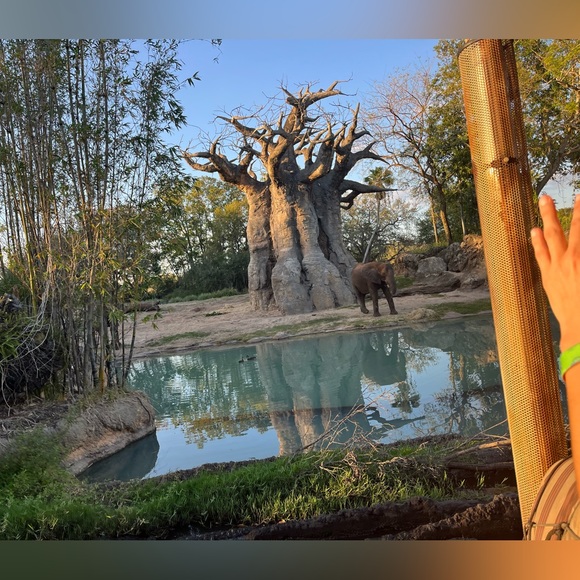 Meet your Posher, Aya - Picture 1 of 1